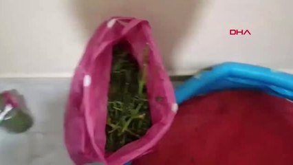 Aydın Ev Uyuşturucu İmalathanesine Çevrilmiş