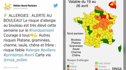 Allergies : le pollen de bouleau s’abat sur toute la France