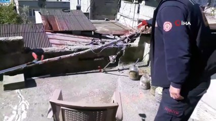 Evin çatısındaki yılan paniğe neden oldu