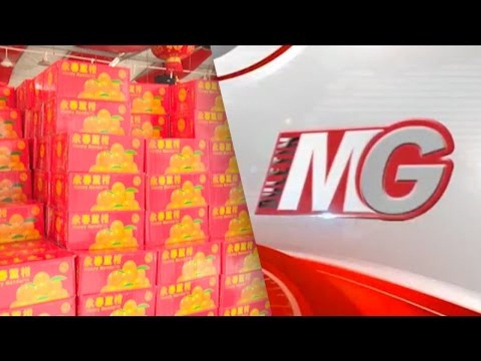 Limau Mandarin Pilihan Semua Bangsa | Buletin MG