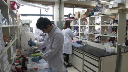 [대전·대덕] 인력개발원, 청년 실전 역량 프로그램 시행 / YTN