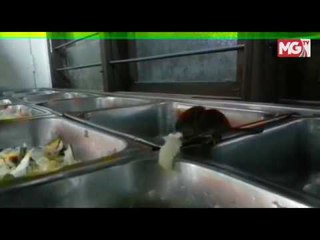 Video tikus: Kantin Hospital diarah tutup