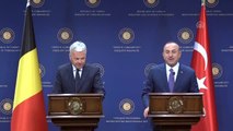 Çavuşoğlu: 