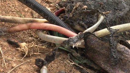 부산 해운대 산불은 실화...비닐 태우다 번져 / YTN