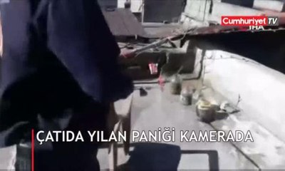 Çatıda yılan paniği kamerada