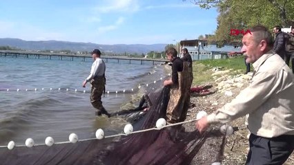 Bursa Avrupa'nın Çerezi İznik Gölü'nden