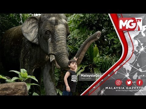 TERKINI : Cuti Raya Aidilfitri Zoo Negara Jadi Tumpuan