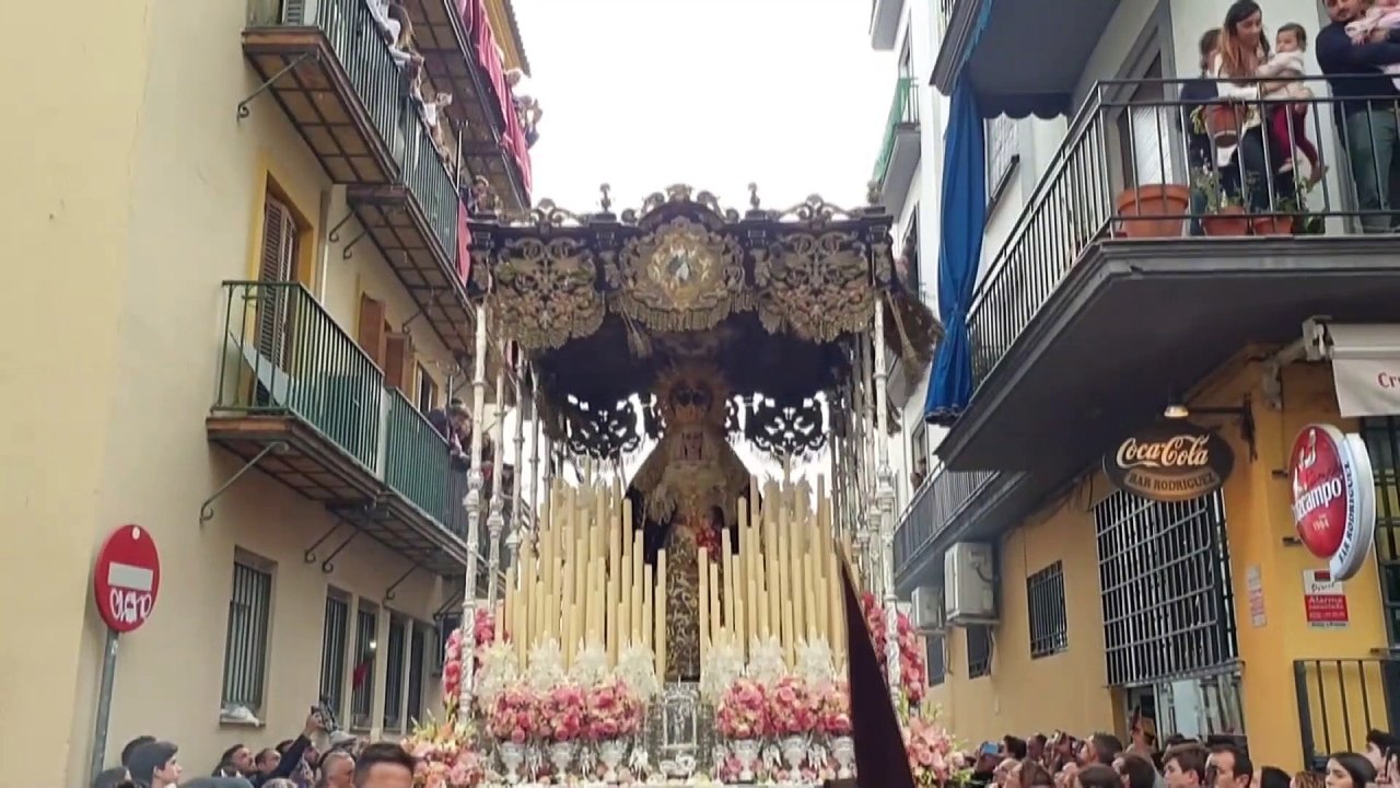 Palio Buen Fin 2019