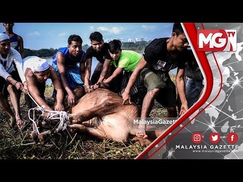 TERKINI : Ratusan Etnik Rohingya Sambut Hari Raya Aidiladha di Pasar Borong KL