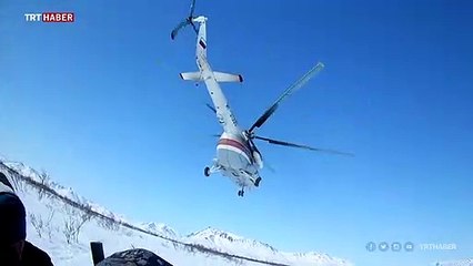 Yolunu şaşıran kutup ayısı evinden 700 kilometre uzağa gitti