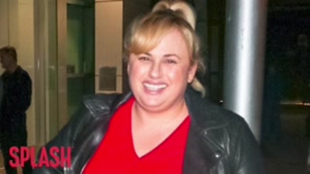 Rebel Wilson Wants Diverse Acting Roles