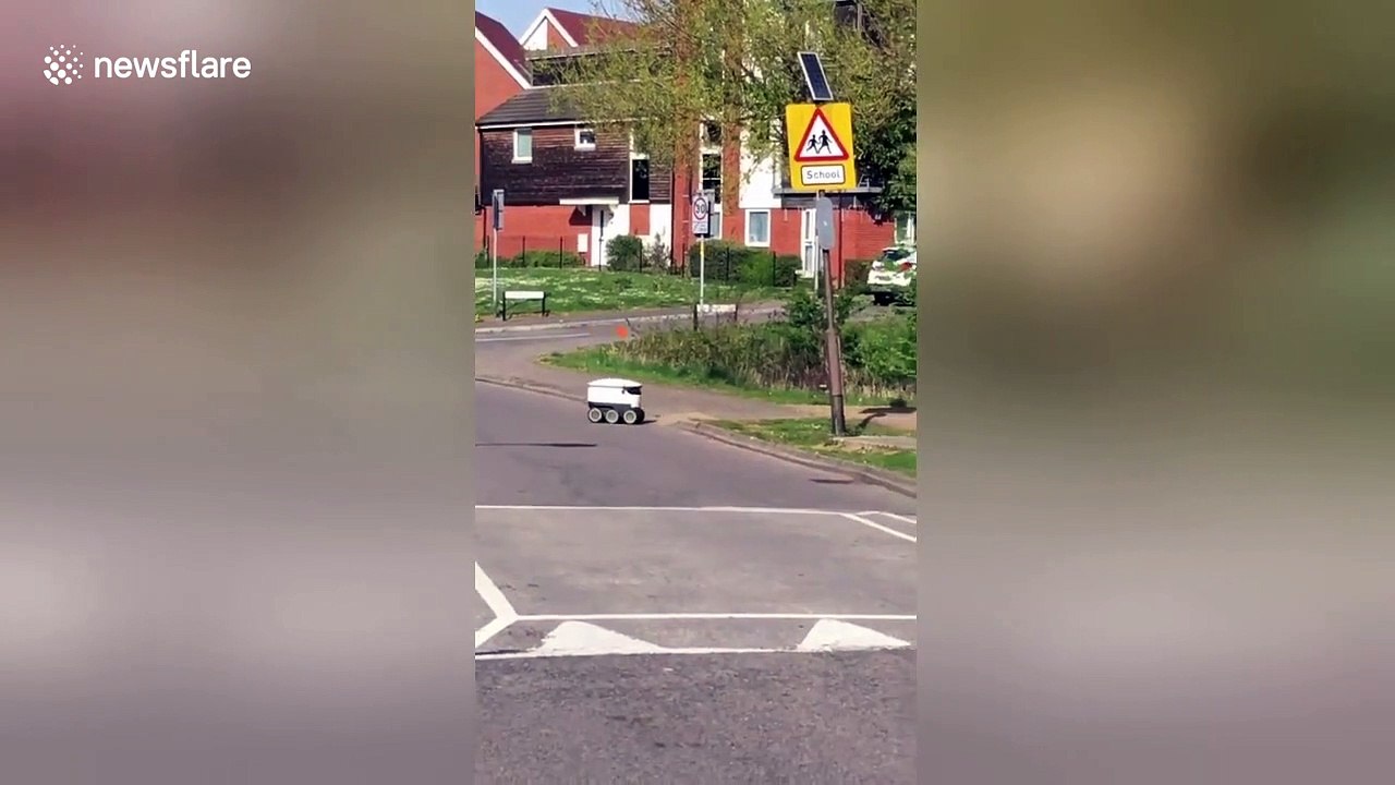 'He knows where he's going' Polite delivery robot waits patiently to cross the road in UK
