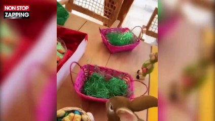 Franck Ribéry se déguise pour fêter Pâques en famille (vidéo)