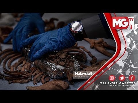 TERKINI : Rangka Remaja Perempuan Berusia Kira-kira 8,000 tahun Ditemui di Ulu Kelantan