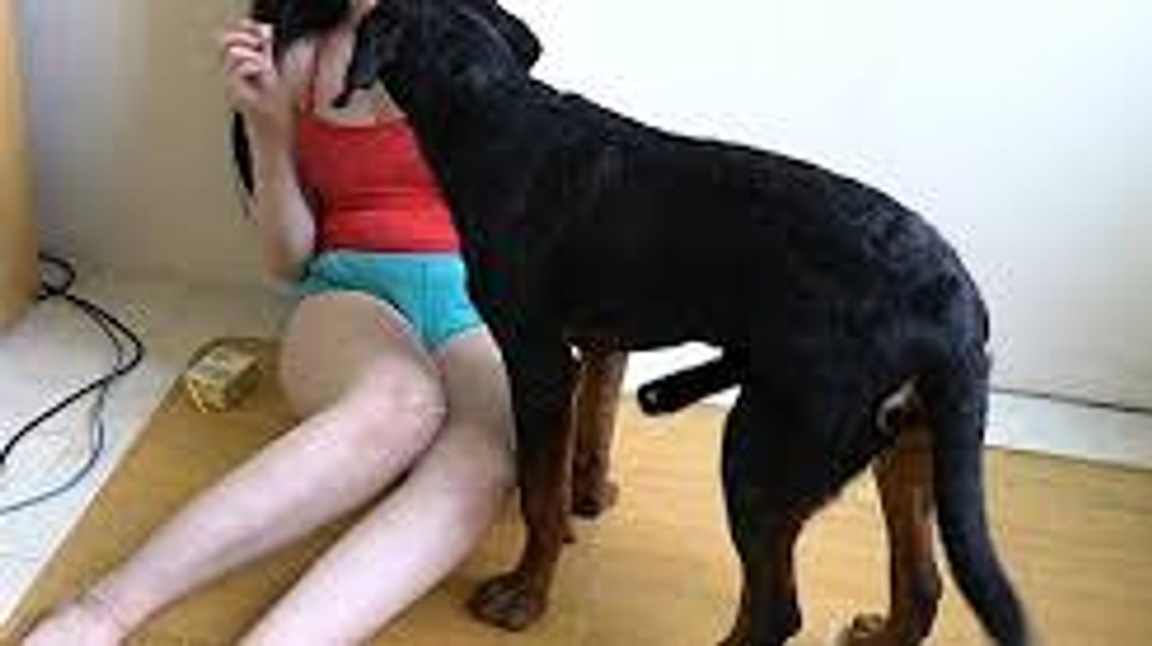 Dog knotting with woman