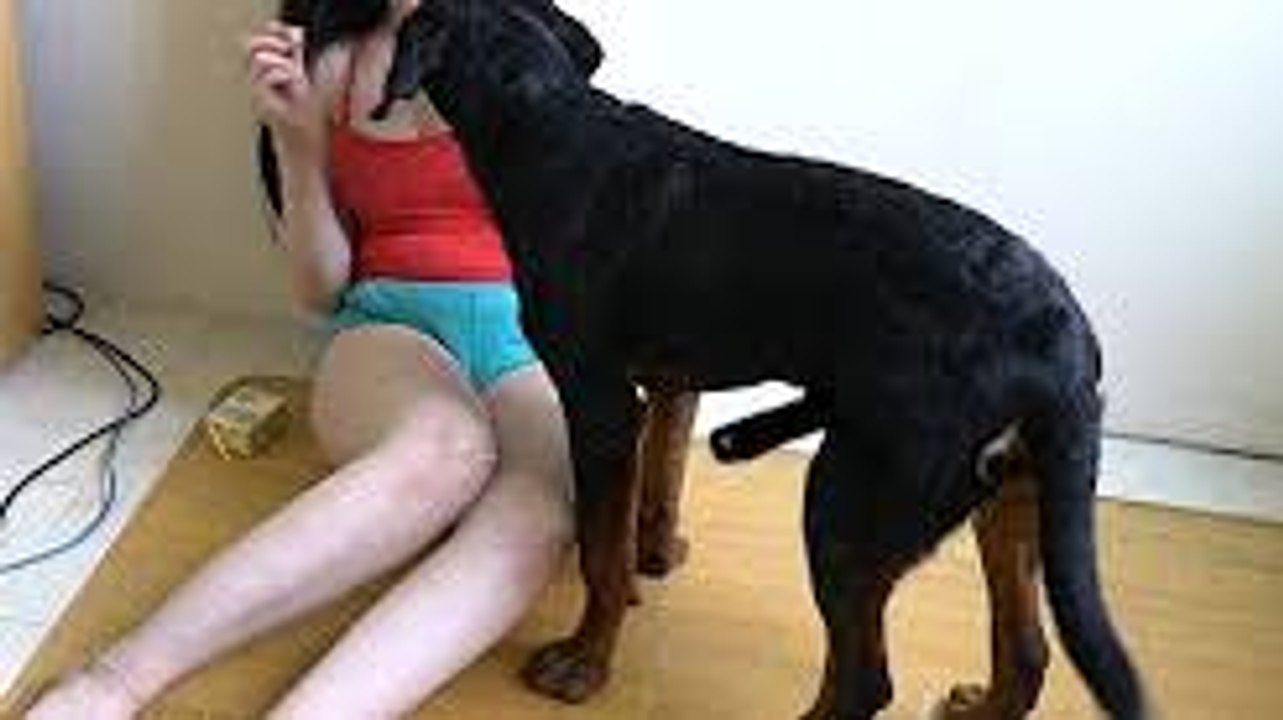 Animals bokep