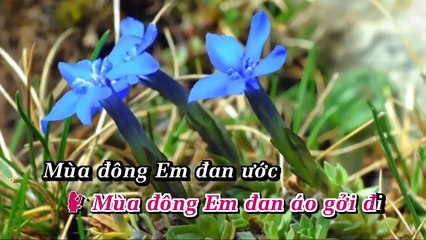 Chuyen Tinh Nguoi Dan Ao - My Huyen-Randy