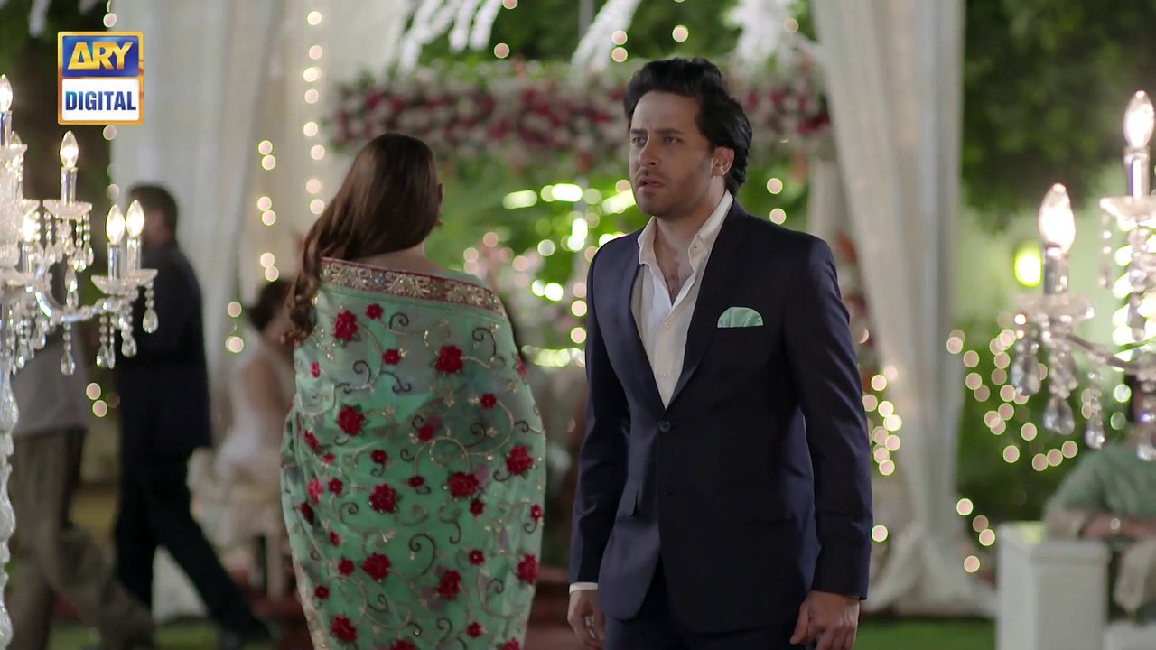 Do Bol Ep 19