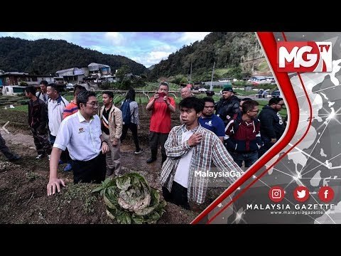 TERKINI : Saya Mendesak MB Pahang Jawab! Isu Tanah di Cameron Highland - Sim Tze Tzin