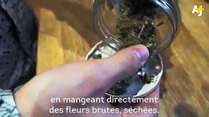 Chanvre thérapeutique