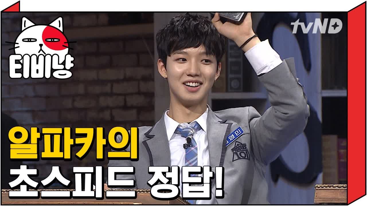[티비냥] 1등석을 사수하라! 정답만 기다려온 영민 초스피드 정답 | 문제적남자 17...