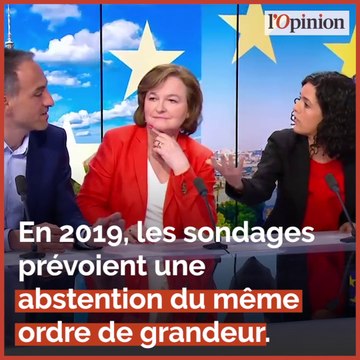 Participation, Gilets jaunes, Brexit: ces inconnues qui planent sur les élections européennes