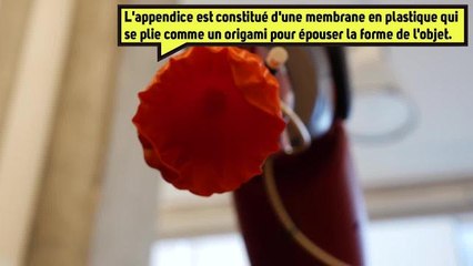 Une main de robot des plus délicate...pour des objets délicats.