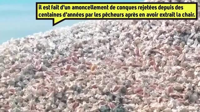 Cette île des Caraïbes est faite de millions de coquillagesjetés par les pêcheurs
