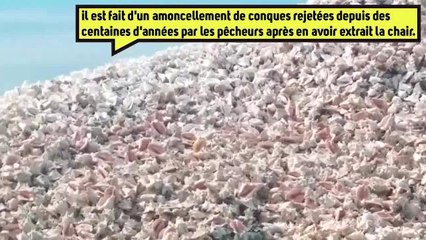Cette île des Caraïbes est faite de millions de coquillagesjetés par les pêcheurs
