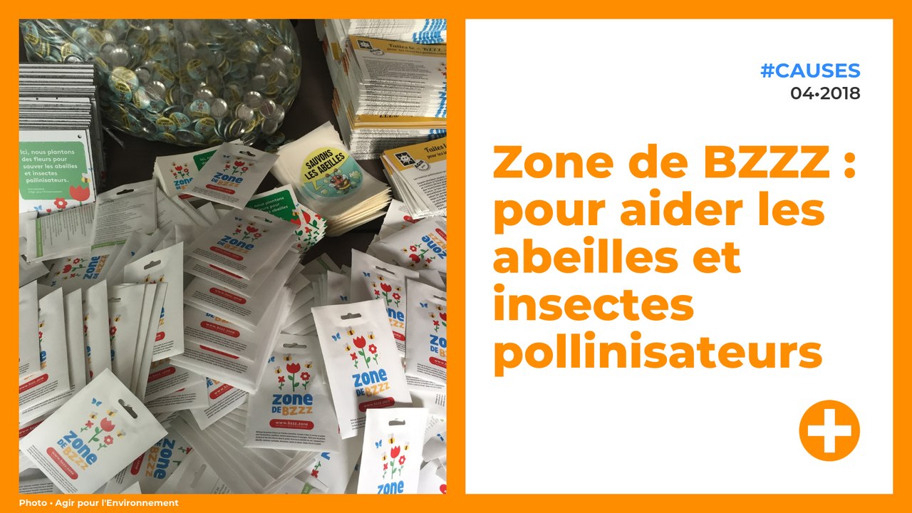 Zone de BZZZ : pour aider les abeilles et insectes pollinisateurs