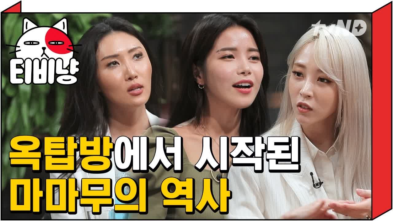 [티비냥] 마마무 옥탑방 살던 시절 눈만 뜨면 먹은 레전드 썰 | 인생술집 190314 #5