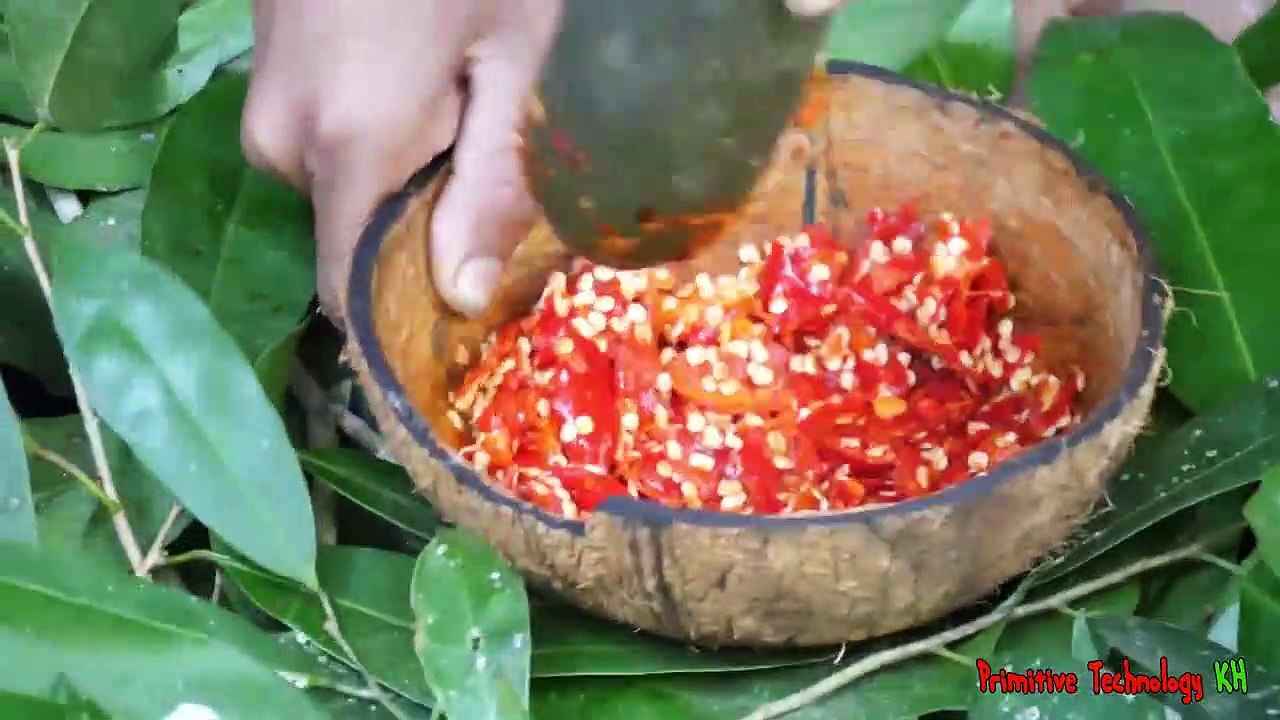 La Technologie Primitive - Manger de délicieux Grillé recette de poisson