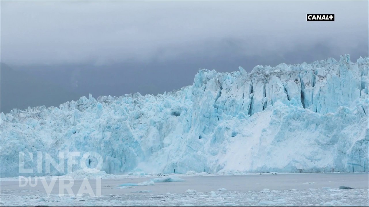 Au secours, la mer monte ! - L'Info du Vrai du 23/04 - CANAL+