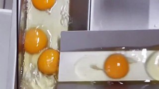 Egg Breakers