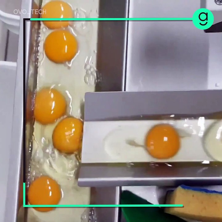 Egg Breakers