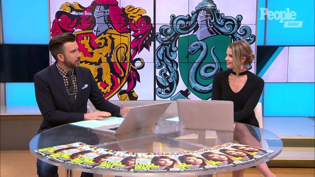 Vans Is Releasing Special Harry Potter Shoes — Seemingly Inspired by the Four Hogwarts Houses