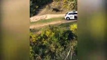 Un toro bravo ataca a un coche de la Guardia Civil