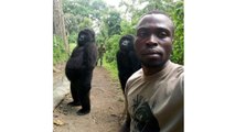 '고릴라의 인생샷'...콩고 밀렵단속반원과 셀카 화제 / YTN