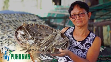 Ang pagsisikap ni Carmela | My Puhunan