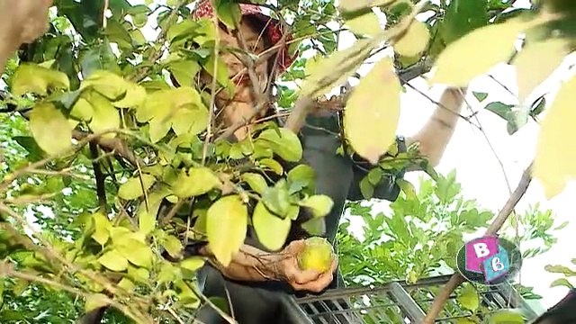 dbb-jill-paer-sorprende-a-su-padre-230419