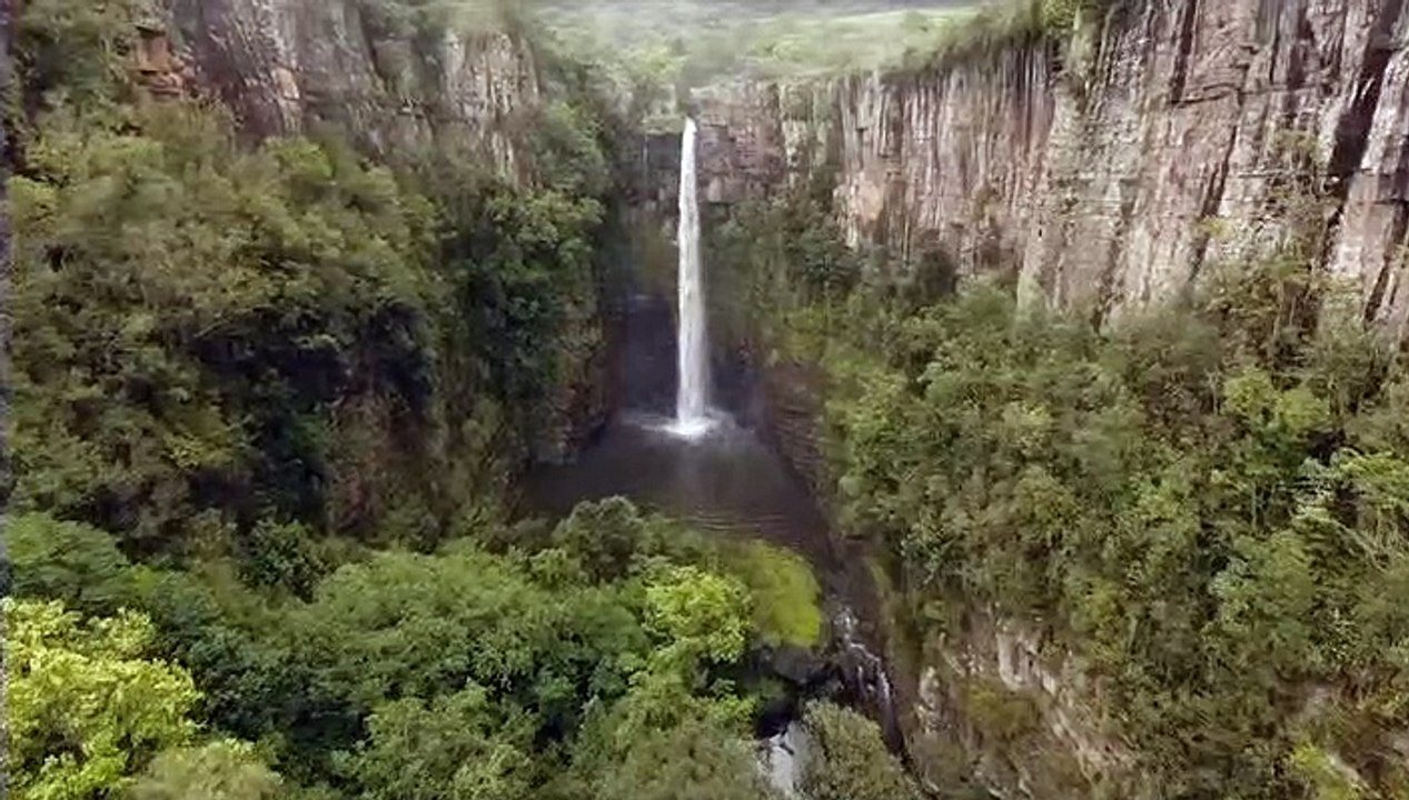 Aromas do Brasil 16 Amazonia