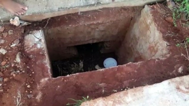 Cães caem em bueiro e Bombeiros são chamados