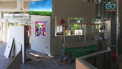 Eat, Drink, and Adopt at Fido's - World's First Dog Tap House!