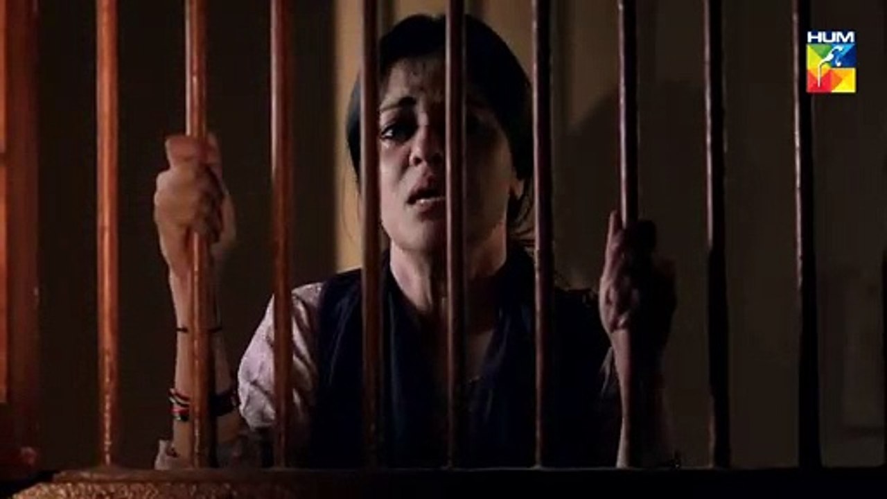 Bhook Teaser 1 | HUM TV Drama