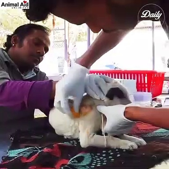 new nepali songshttps://www.dailymotion.com https://www.facebook.com/https://www.facebook.com/बाराह-नगर-पालिका-७पेजhttps://www.facebook.com/Nepali-11-Pagehttps://www.facebook.com/बाराह-नगर-पालिका-७  ए चरी चट्ट परी, ए चरी ओ.... ए चरी चट्ट परी, ए चरी ओ....