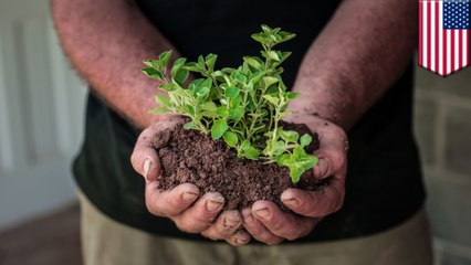 Washington state passes bill that would allow human composting
