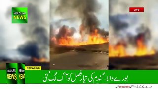 wheat crop fire bhurewala pakistan | Wheat crop fire incident