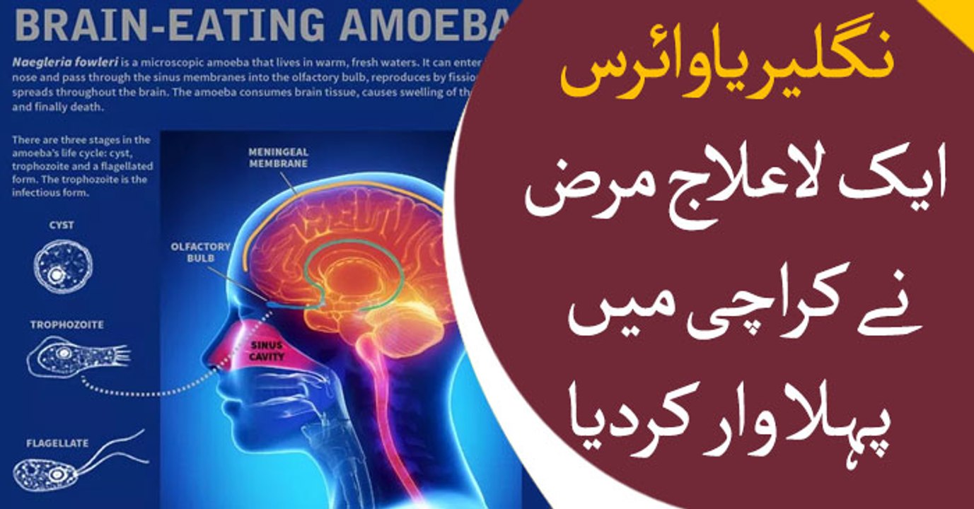 Nigleria virus attacks Karachi