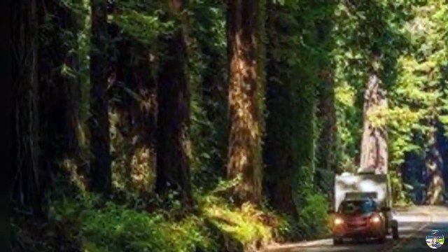 caravan for sale | Jayco motorhomes | PeninsulaRVcentre