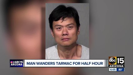 Man arrested for wandering around Sky Harbor tarmac